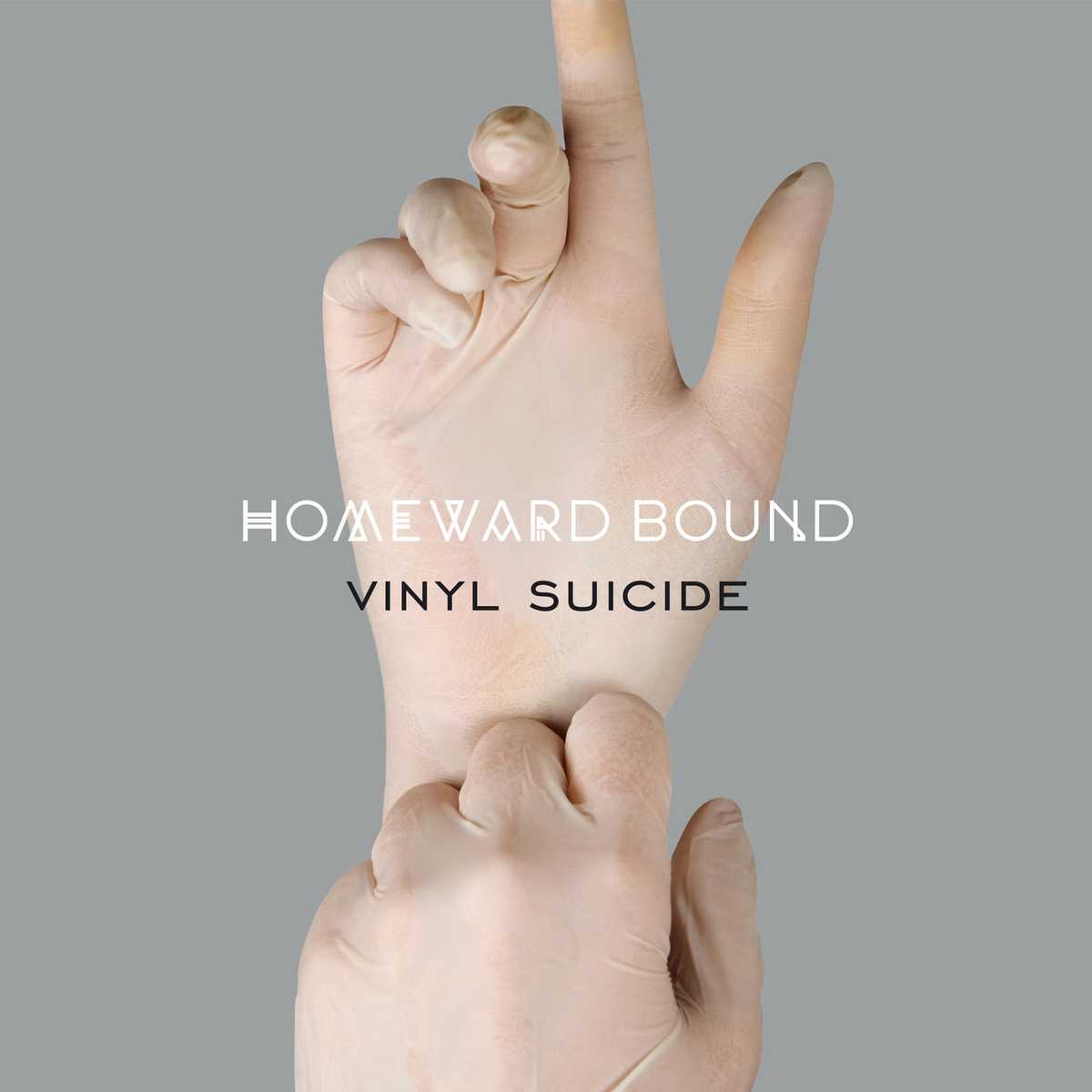 Vinyl Suicide - Homeward Bound