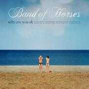 band-of-horses-why-are-you-ok