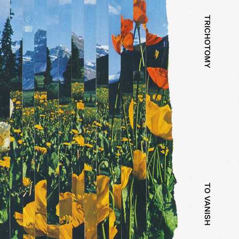 trichotomy toVanish 2023
