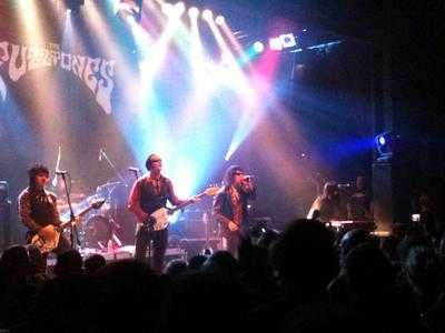Fuzztones Fuzztones