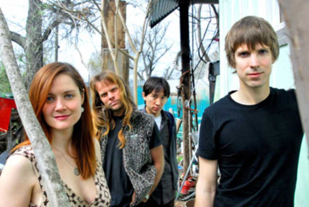 shearwater