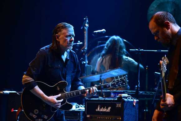 Swans