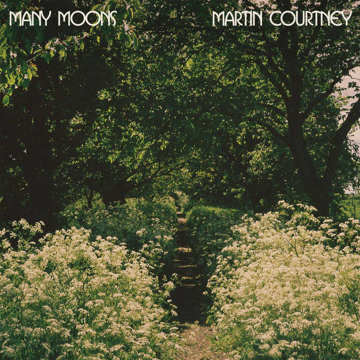 MartinCourtney_ManyMoons
