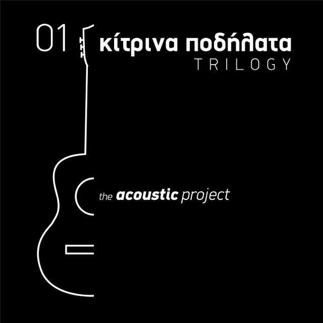 The acoustic project