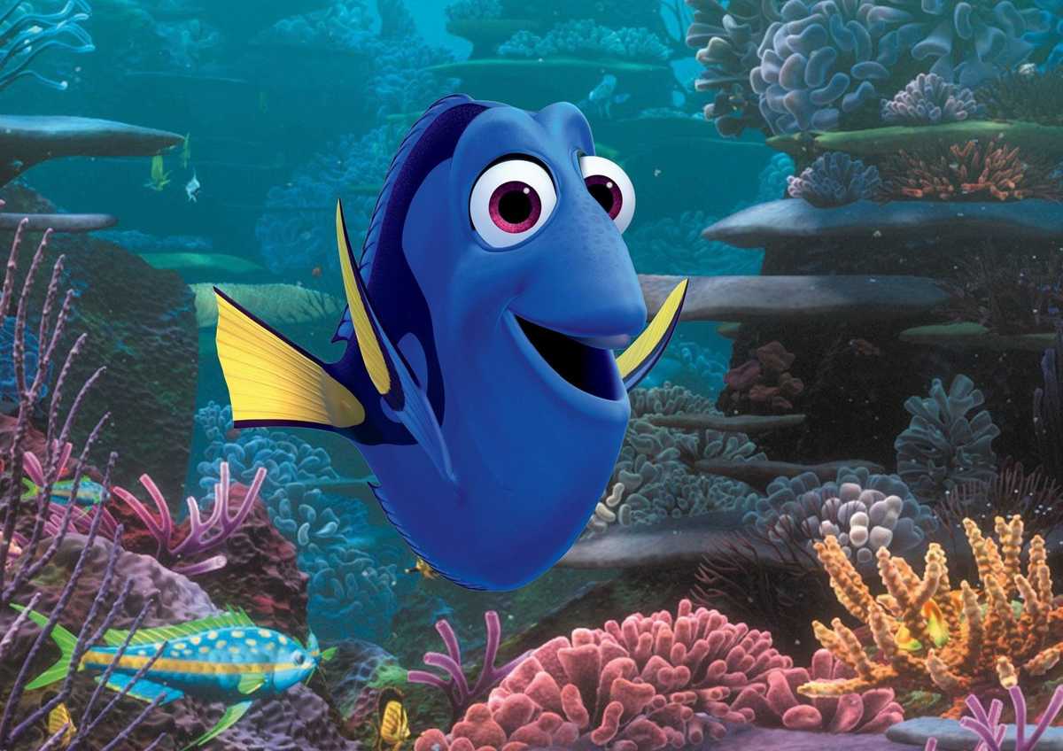 Finding Dory
