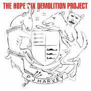 pj-harvey-hope-six-demolition-project