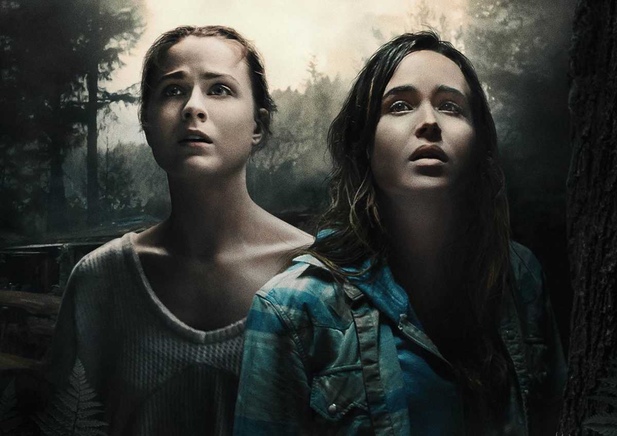 Into the Forest