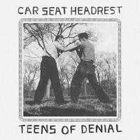 car-seat-headrest