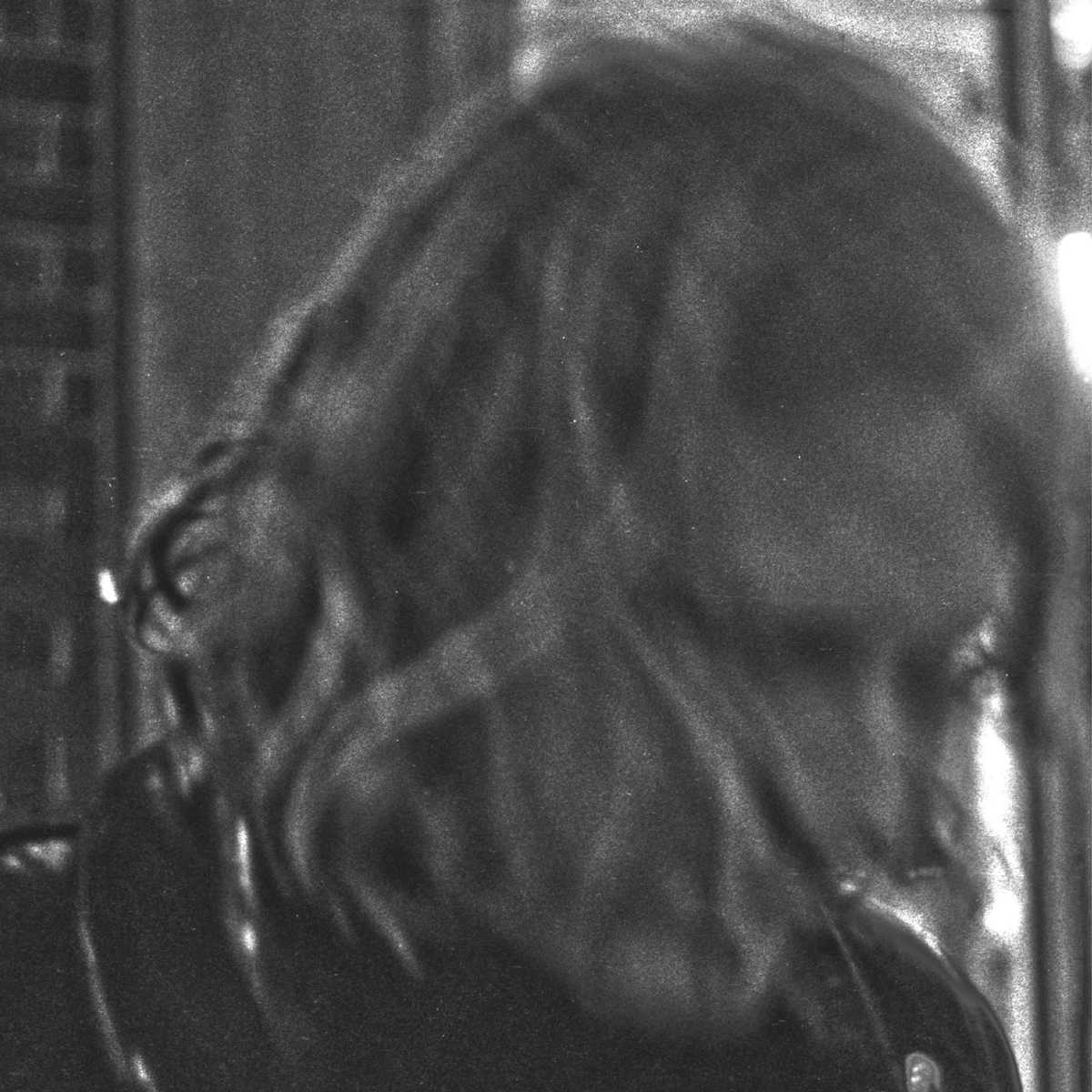 Ty_Segall_2017