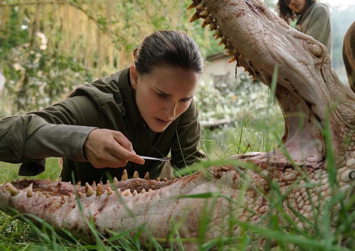 Annihilation