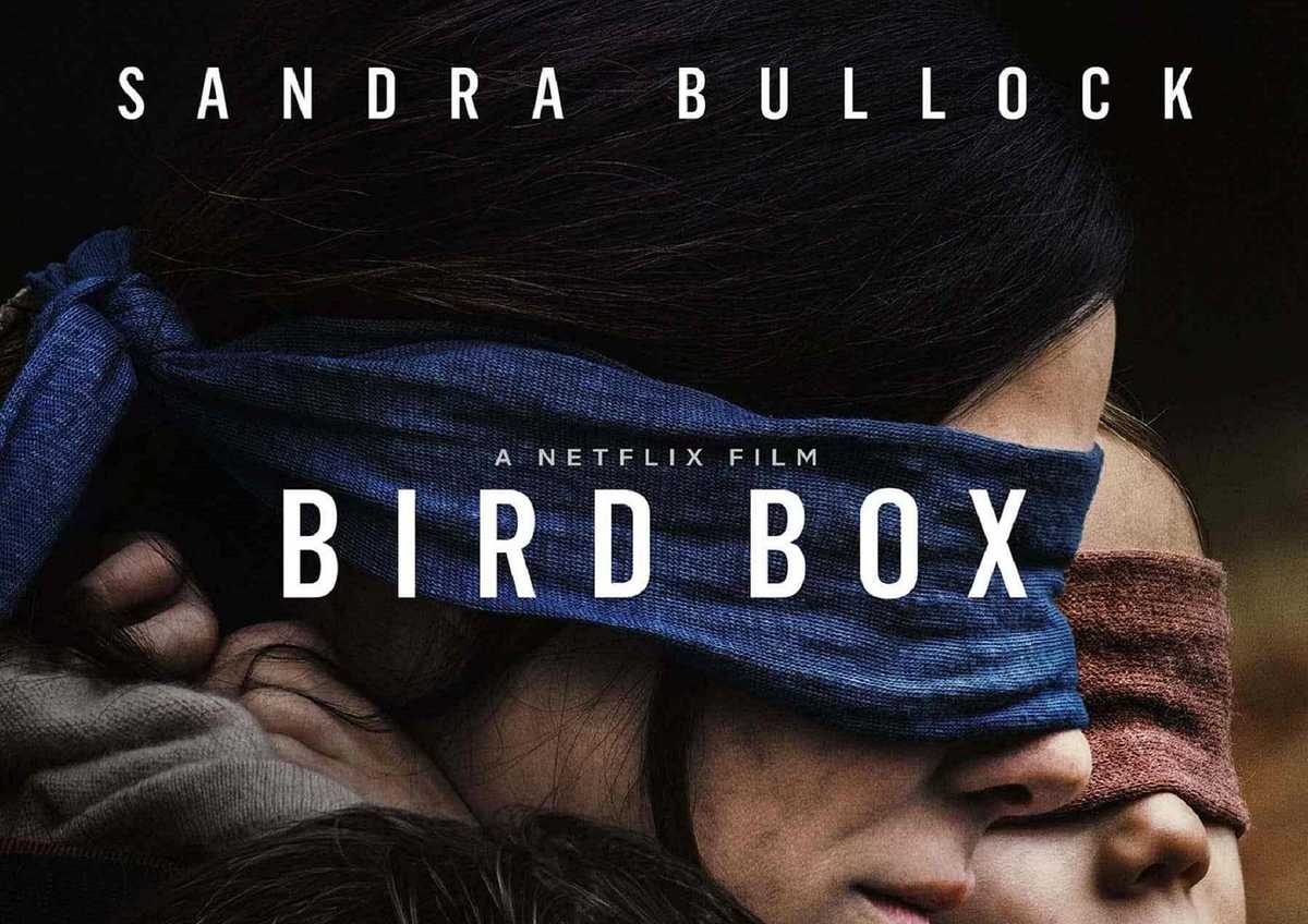 Bird Box Cover