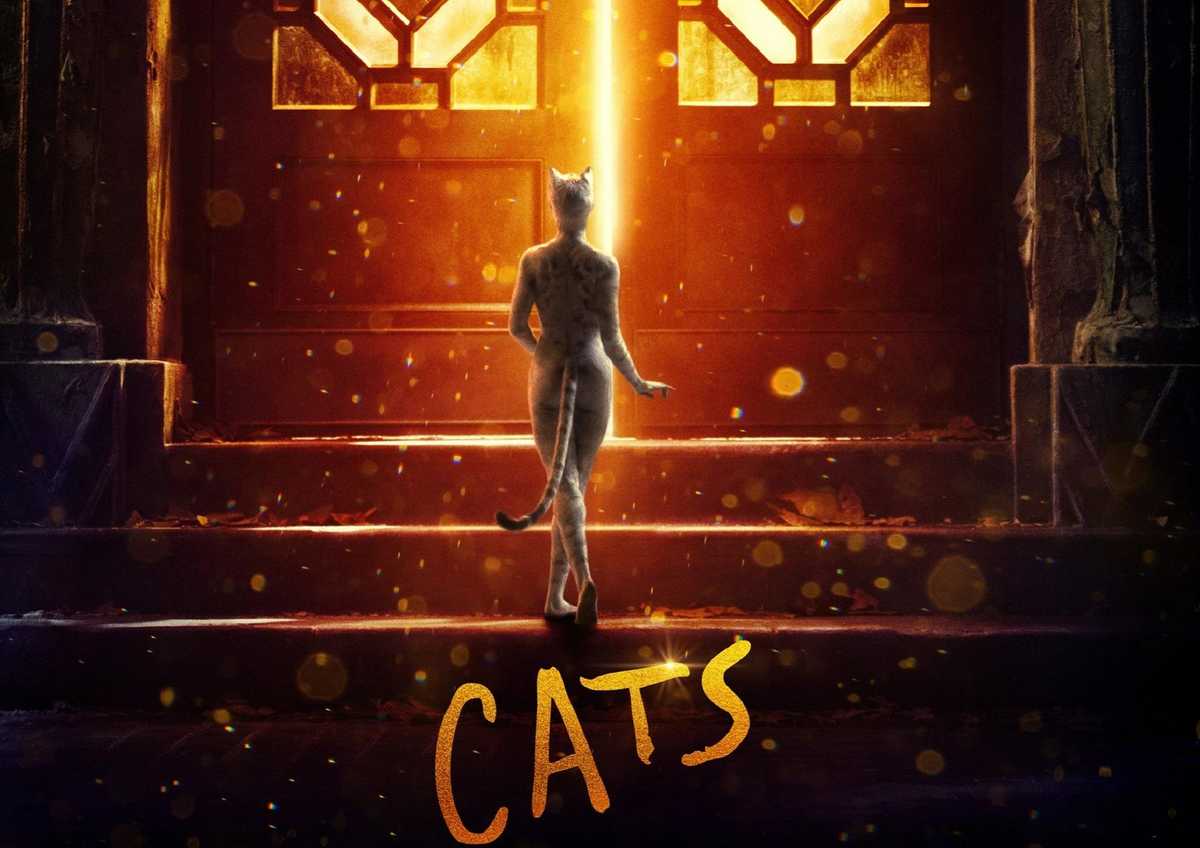Cats cover