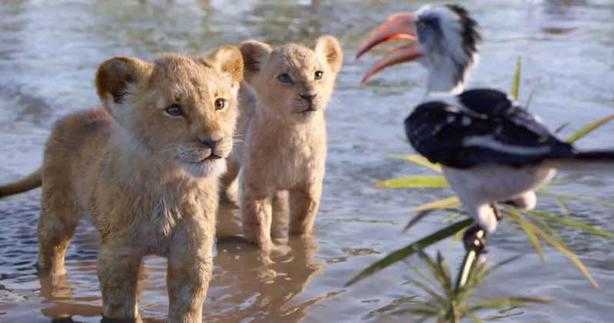The Lion King (2019) - Simba, Nala, Zazu