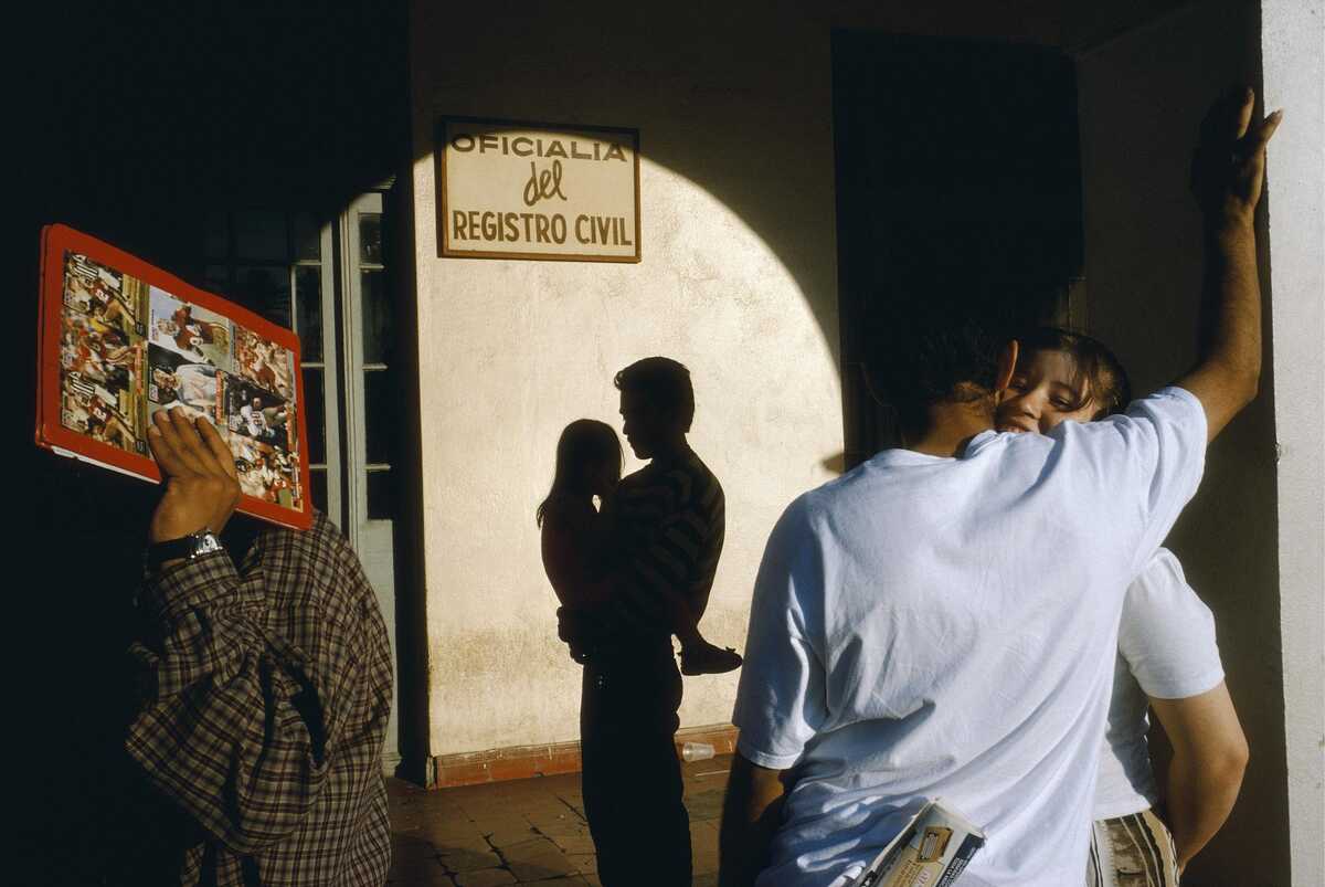 Alex Webb