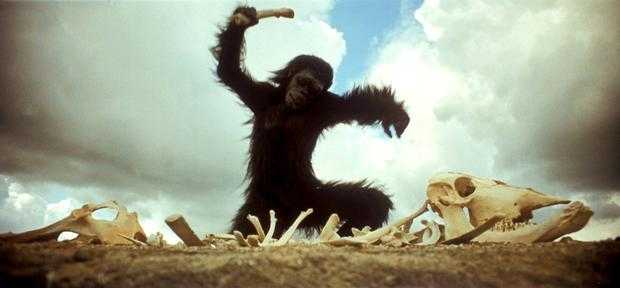 2001 A Space Odyssey, ape playing music