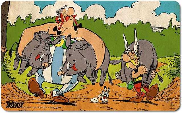 Asterix wild boar