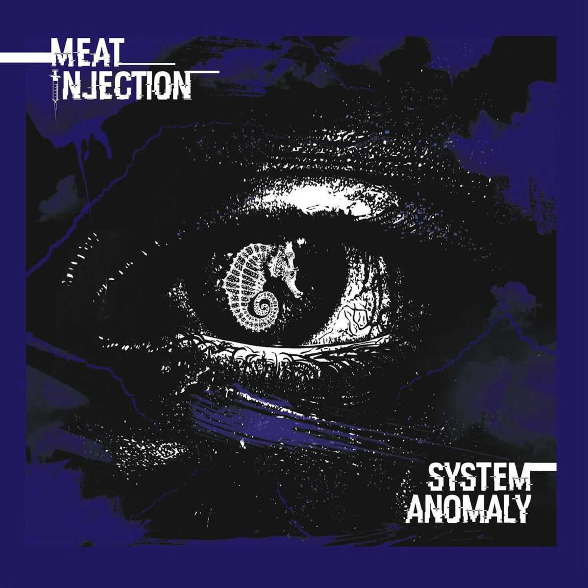 meatInjection_systemAnomaly2020
